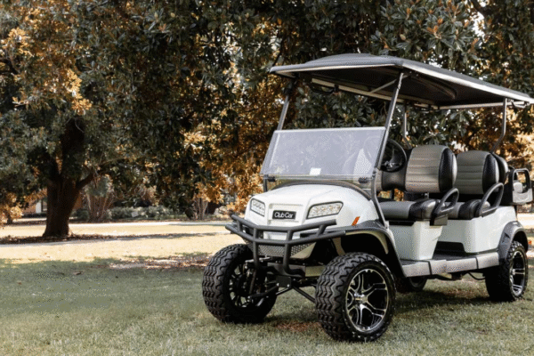 Embracing Golf Cart Culture: Convenience and Community with Joe's Carts